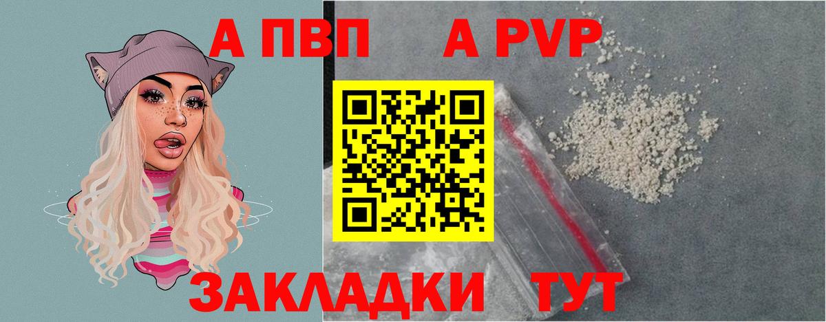 Элиста  A-PVP СК КРИС  Альфа ПВП СК КРИС  Альфа ПВП СК  Вход с VPN 