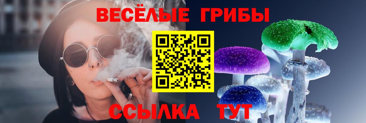 Галлюциногенные грибы Psilocybine cubensis Элиста