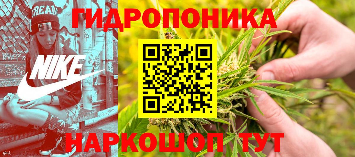 МАРИХУАНА VHQ  Вход с VPN  Элиста  Бошки Шишки MAZAR  Шишки марихуана семена 